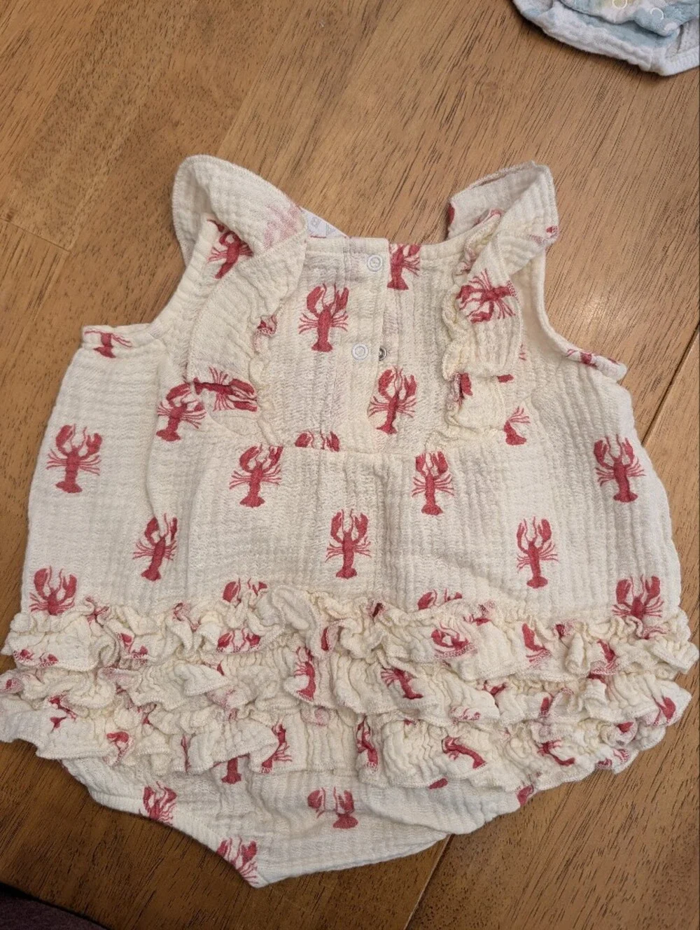 Baby Girl Rompers and Dress Bundle 6-9/9 months